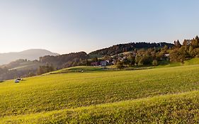 Apartmaji Pr-Gujlu Sela Nad Podmelcem 5220 Tolmin